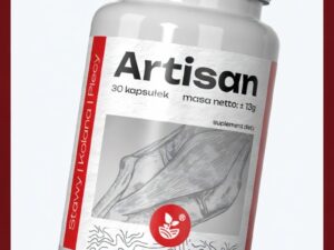Artisan