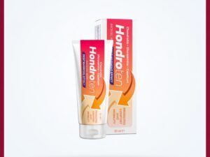 Hondroten